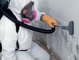 Best Airborne Mold Testing  in Cairo, IL